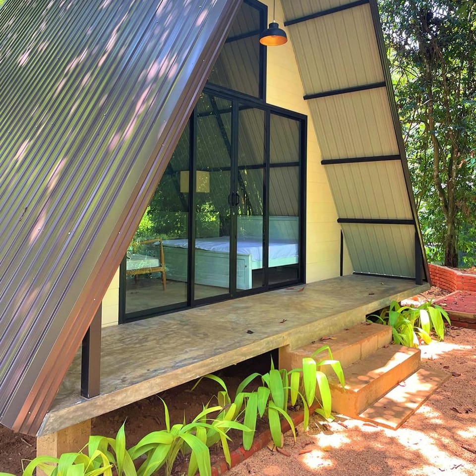 Property building, Garden, Garden view