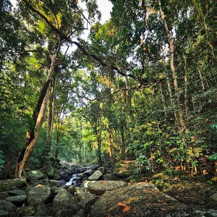 Natural landscape