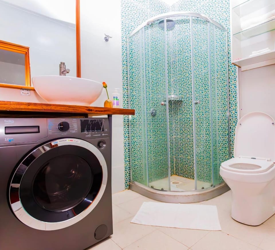 Shower, Toilet, Bathroom, washing machine, dryer