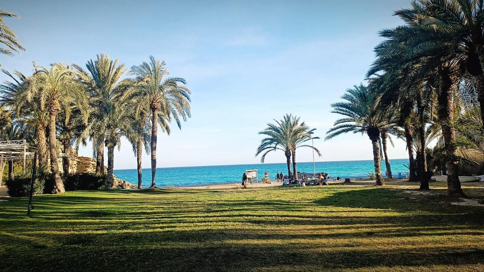 Natural landscape, Garden, Beach, Garden view, Sea view