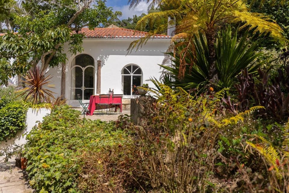 Property building, Spring, Day, Garden, Garden view