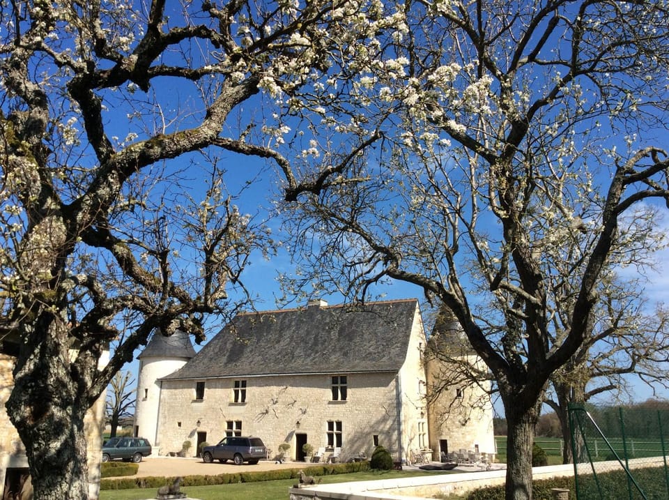 Spring, Day, Garden