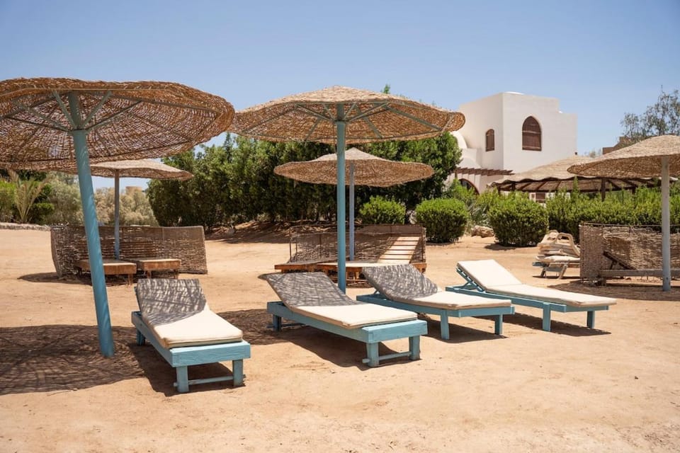 Beach, sunbed