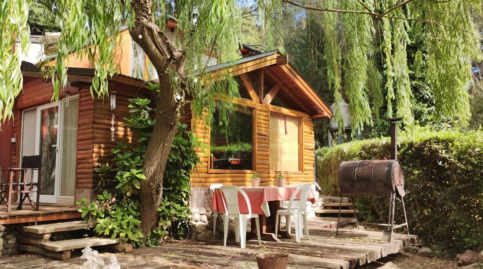 Property building, Patio, Spring, Day, Natural landscape, Garden, Garden view