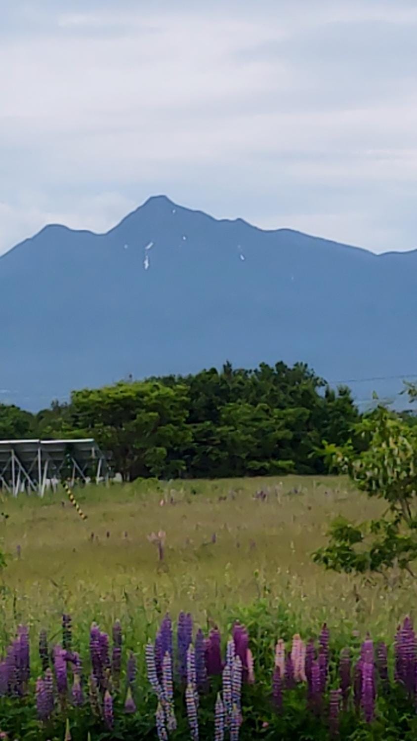 Spring, Day, Natural landscape, Mountain view