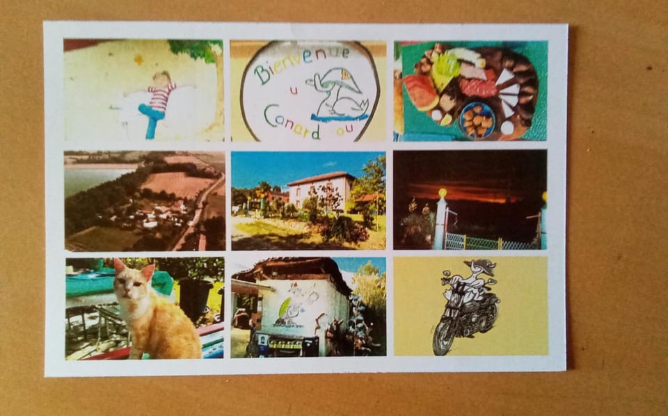 le canard fou Bed and Breakfast in Occitanie