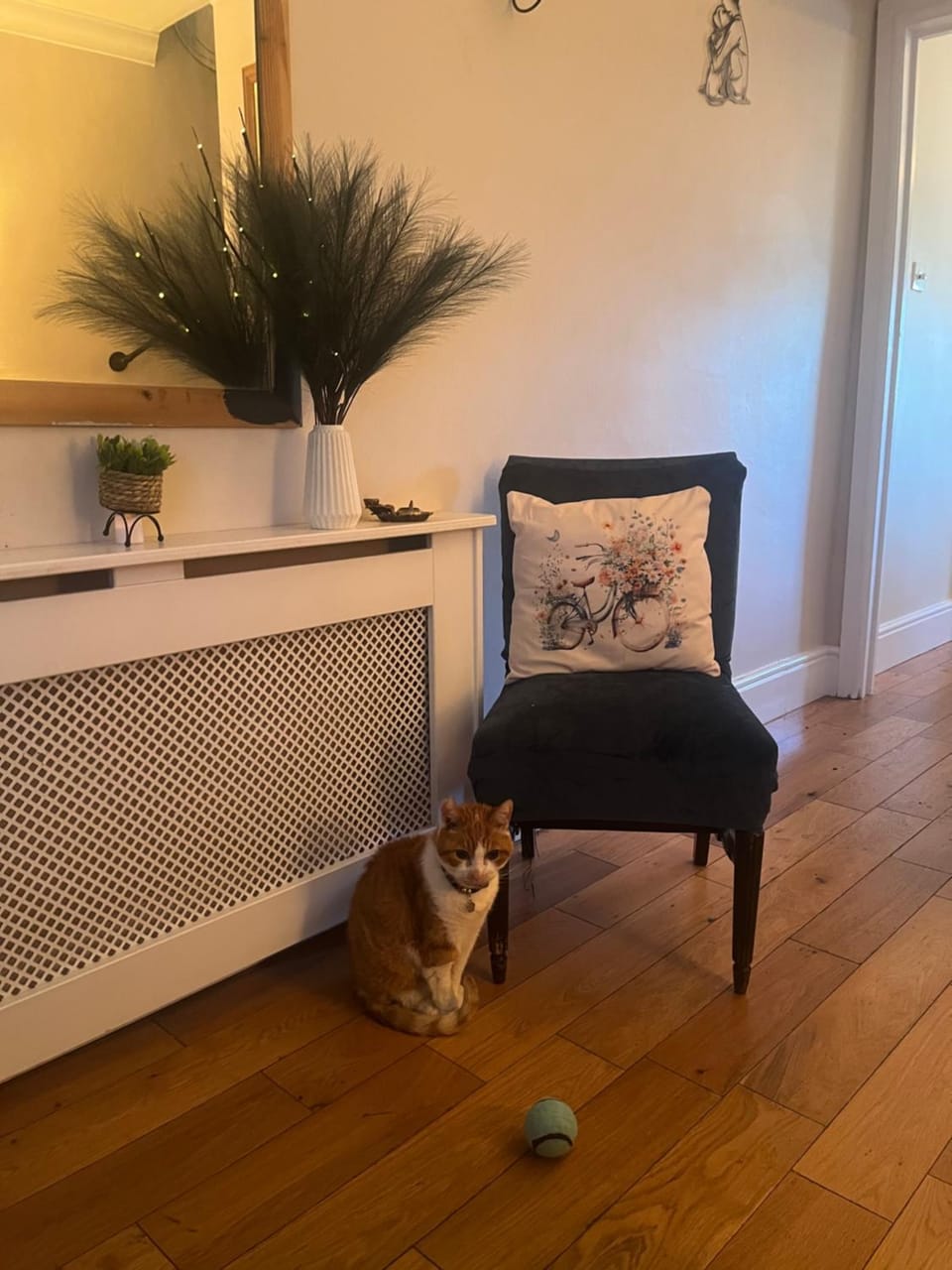 Cluaine Meala cottage Vacation rental in Isleworth