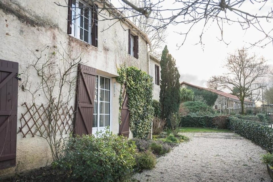 Property building, Garden view