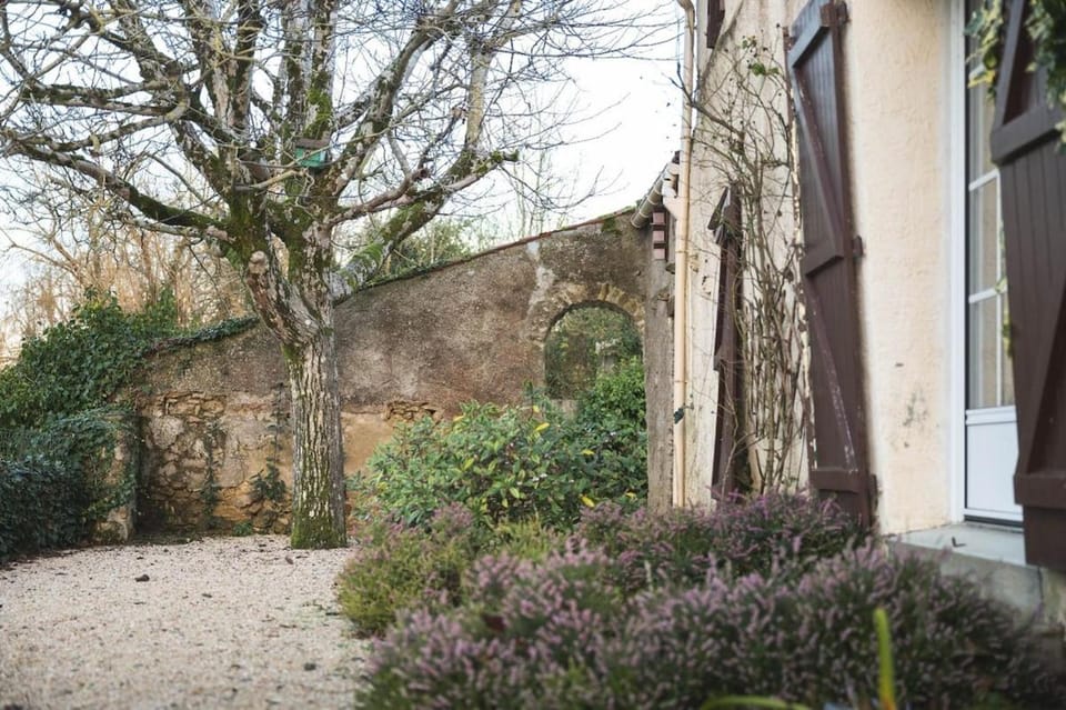Garden, Garden view