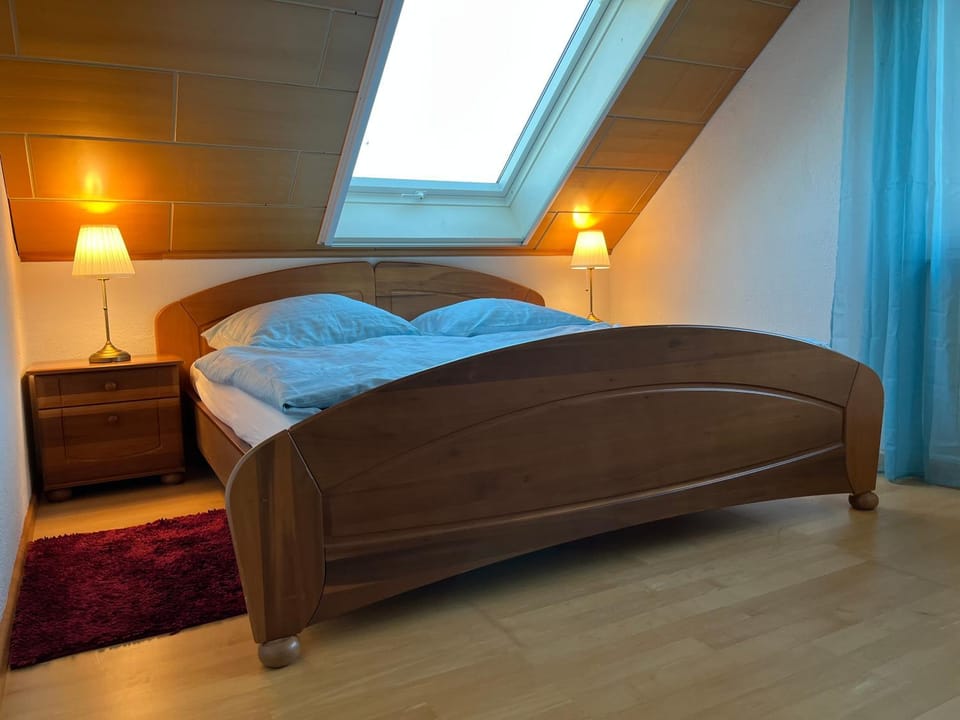 Rebstock Apartment in Strasbourg