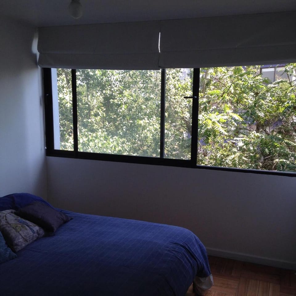 Lovely Apartment in barrio Italia, best location Apartment in Providencia