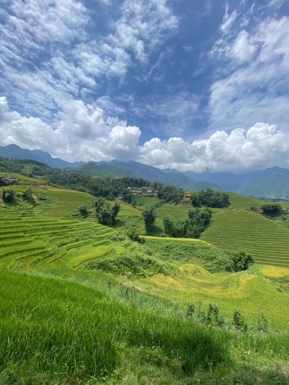 Nearby landmark, Natural landscape