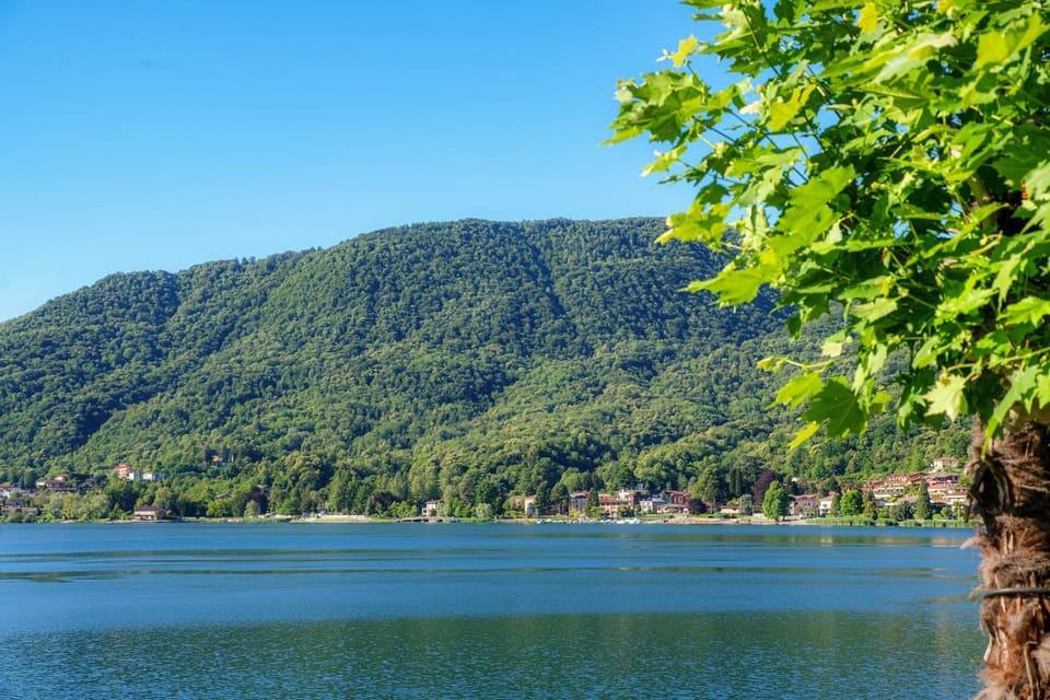 Lake view