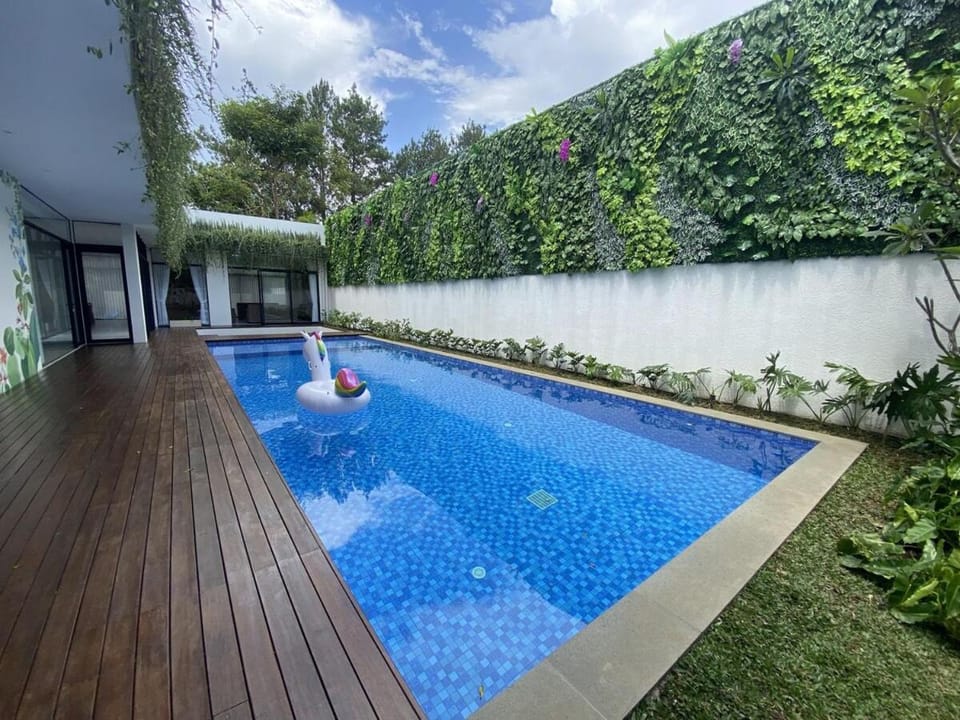 Swimming pool, Swimming pool