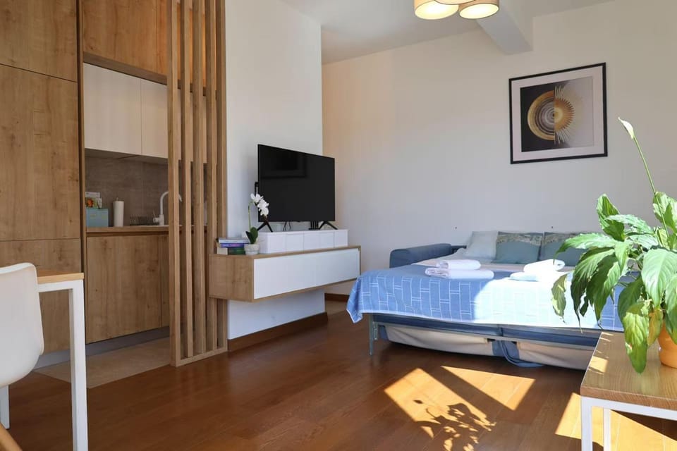Bed, TV and multimedia, Kitchen or kitchenette, Living room, Photo of the whole room, Seating area, Bedroom
