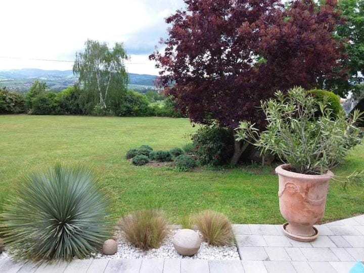 Natural landscape, Garden, Garden view