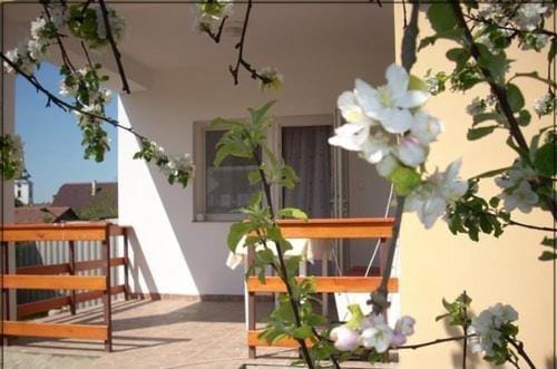 Abádi Karmazsin ház House in Hungary