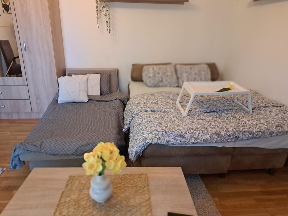 Apartaman Sweet Home Apartment in Vojvodina