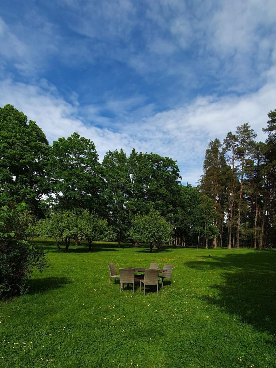 Knipnäs Läkarvillan Apartment in Uusimaa
