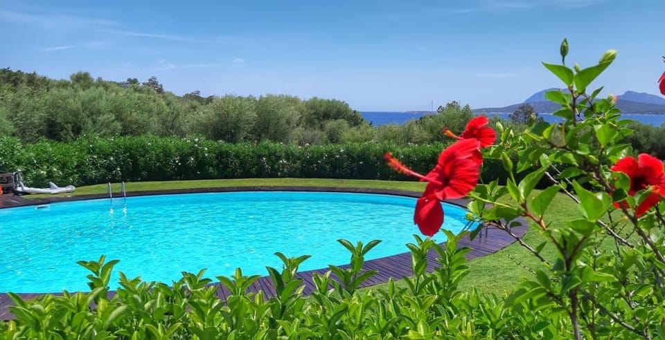 Pool view, Swimming pool, Swimming pool