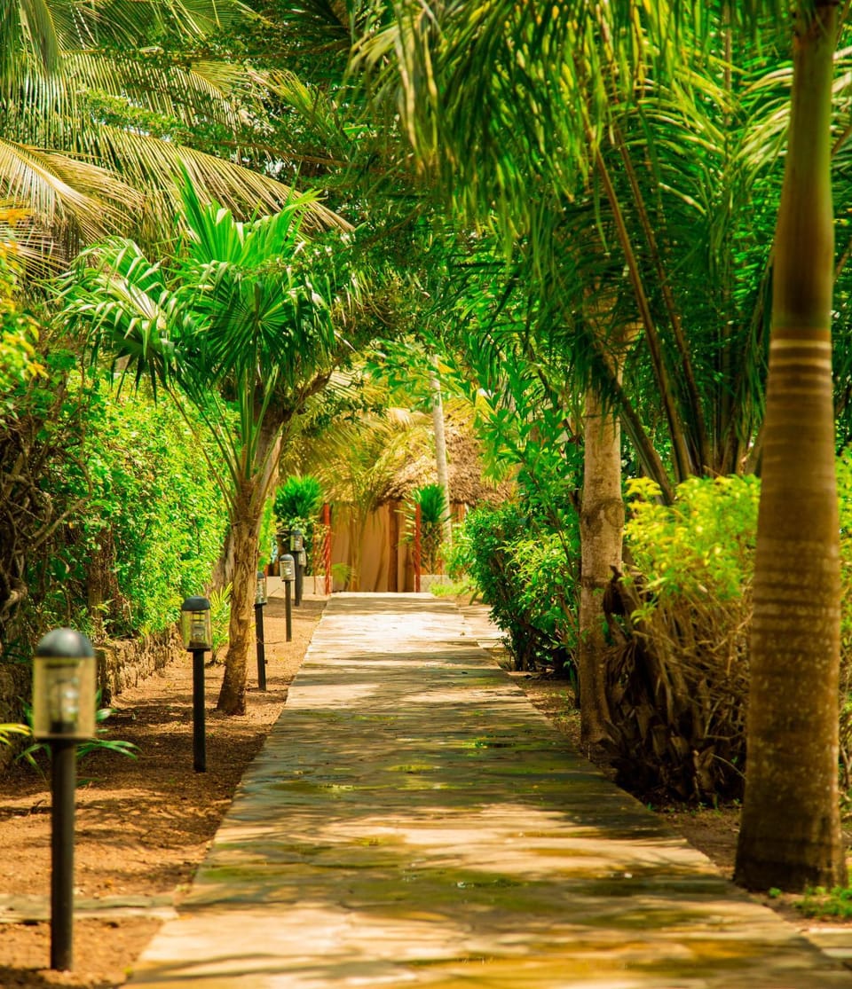 Natural landscape, Garden