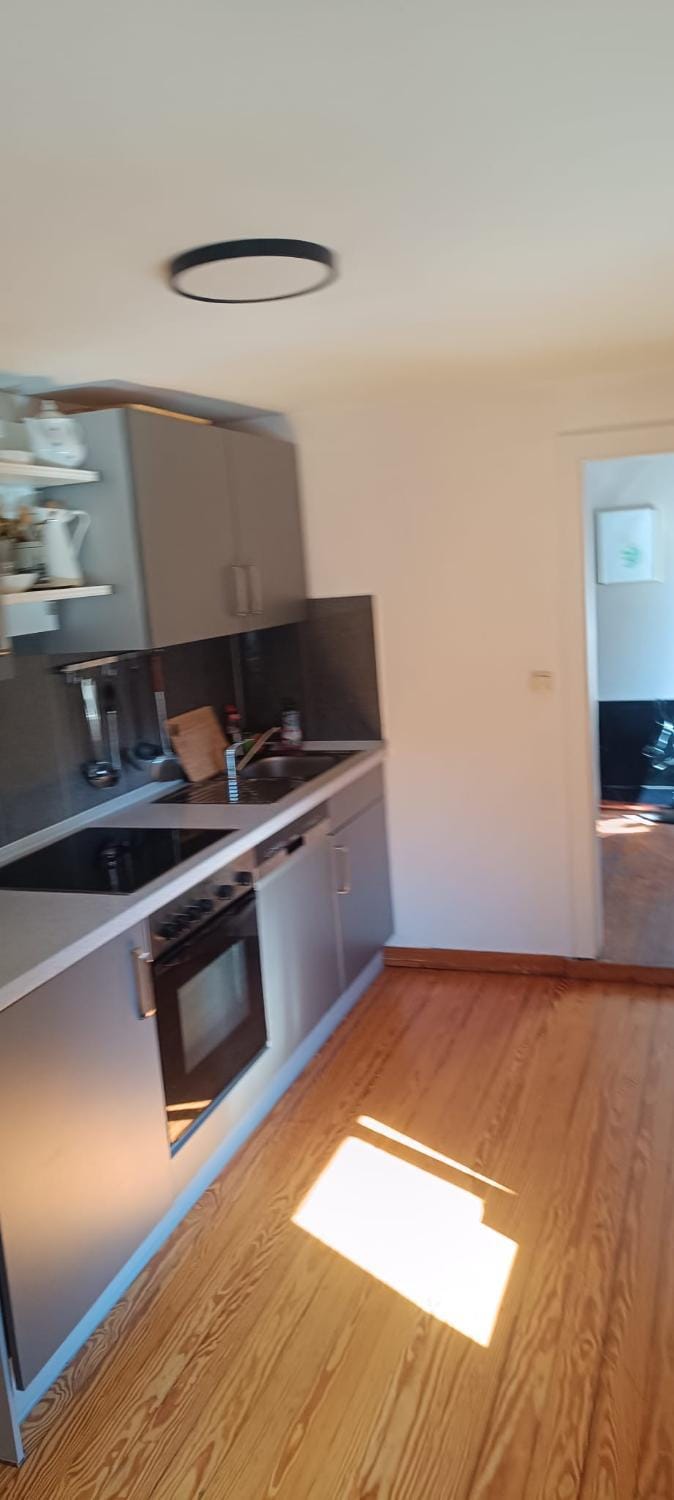 Kitchen or kitchenette, dishwasher, oven, stove