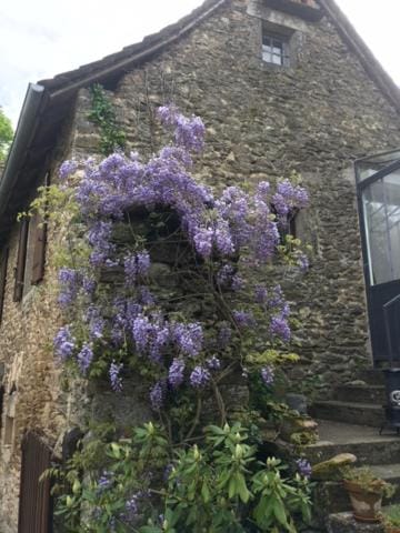 Les Groseilliers House in Occitanie