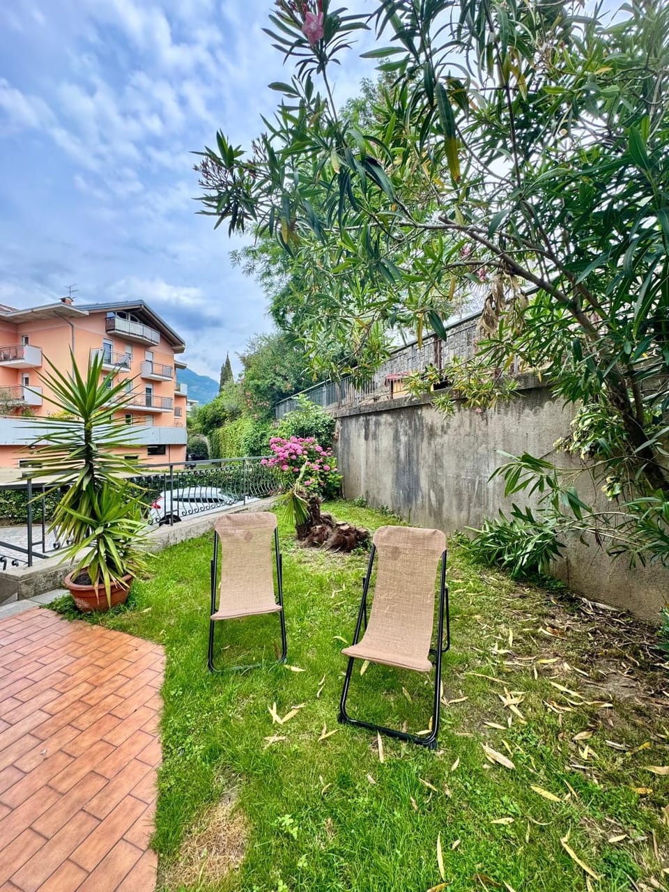 Garden, Garden view, sunbed