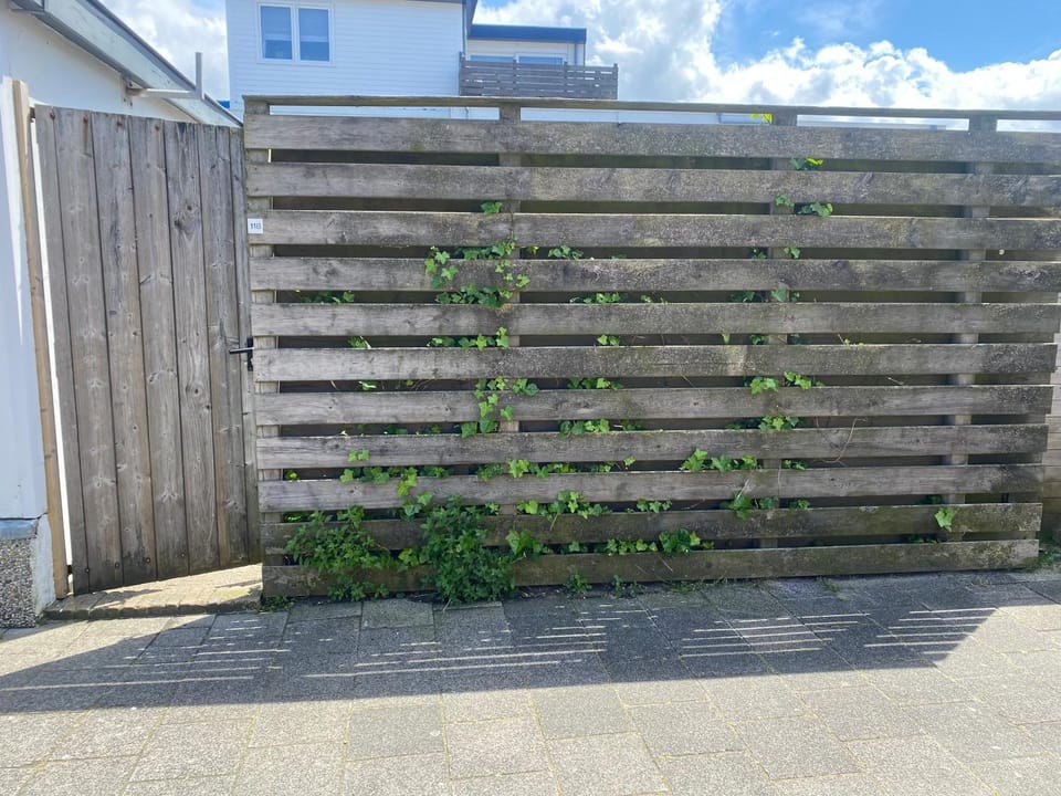 Zomerhuis aan Zee House in Zandvoort