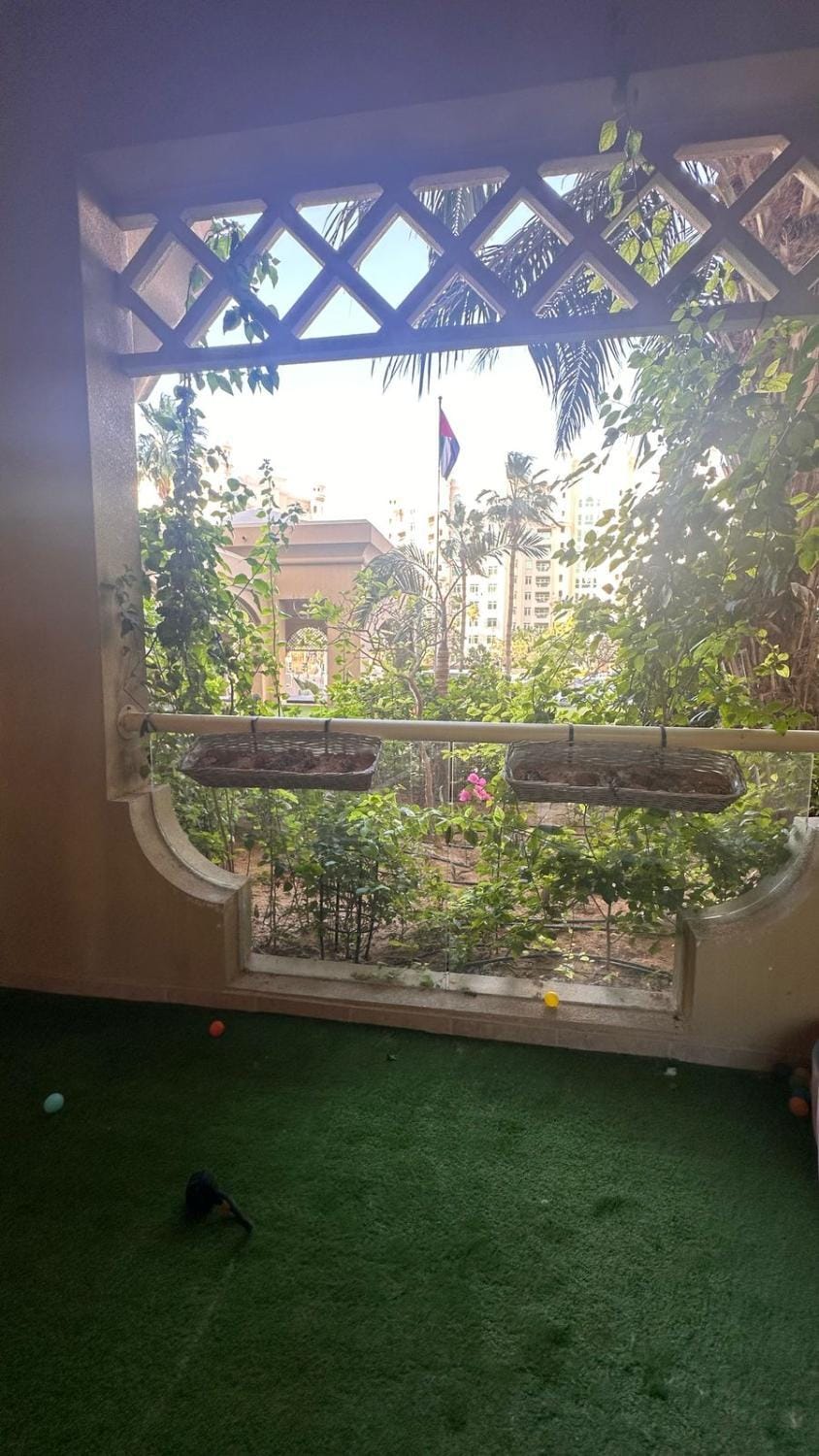 Garden view