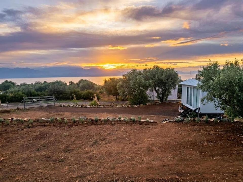 Spring Era House in Messenia