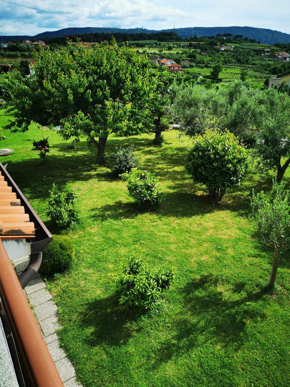 Natural landscape, Garden