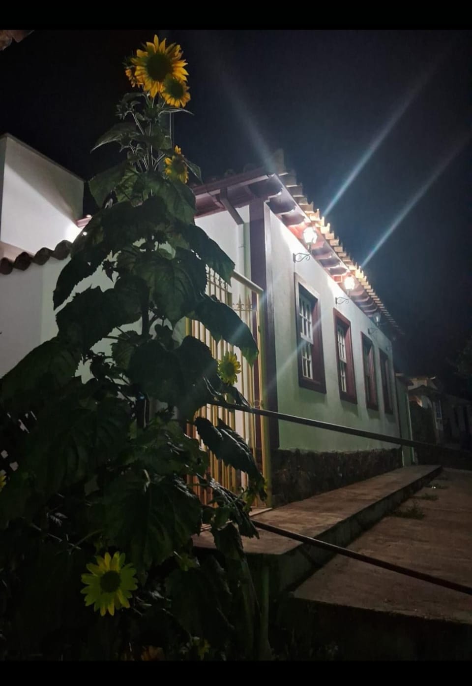 Hospedagem em Bichinho House in State of Rio de Janeiro