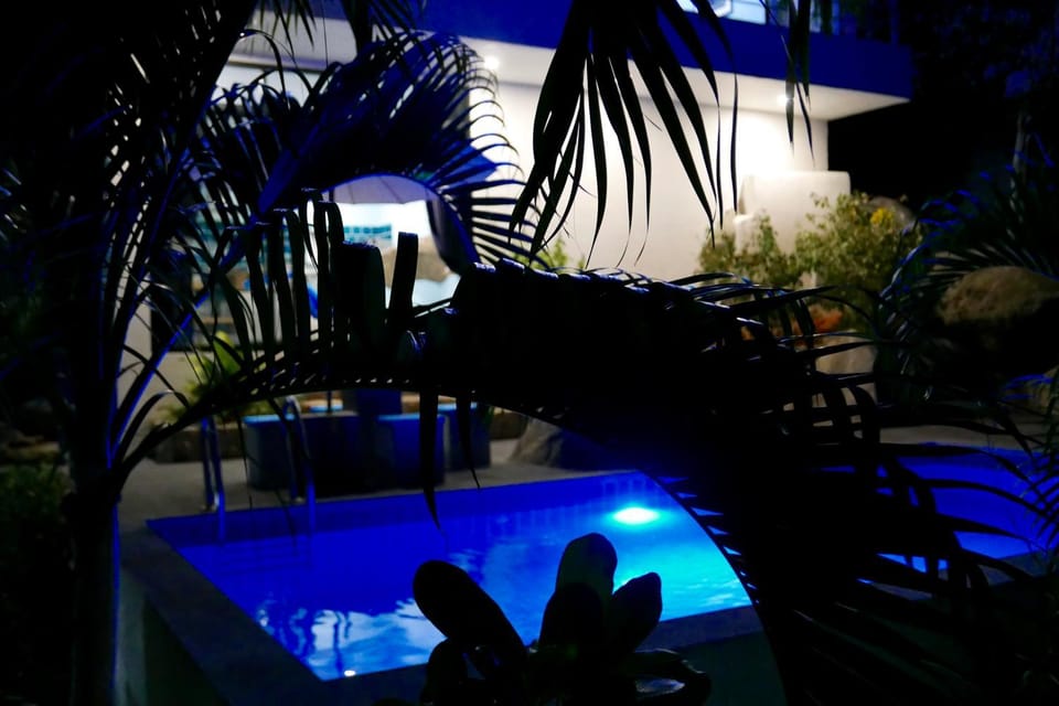 Patio, Patio, Facade/entrance, Night, Natural landscape, Summer, Garden, Decorative detail, Dining area, Pool view, Swimming pool, Swimming pool, Swimming pool