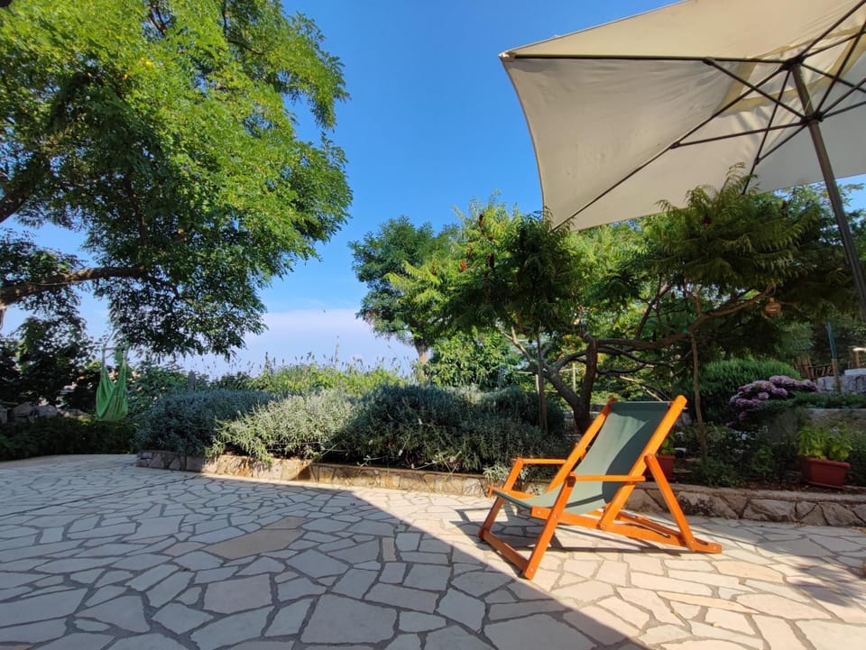Patio, Day, Garden, Garden view, sunbed