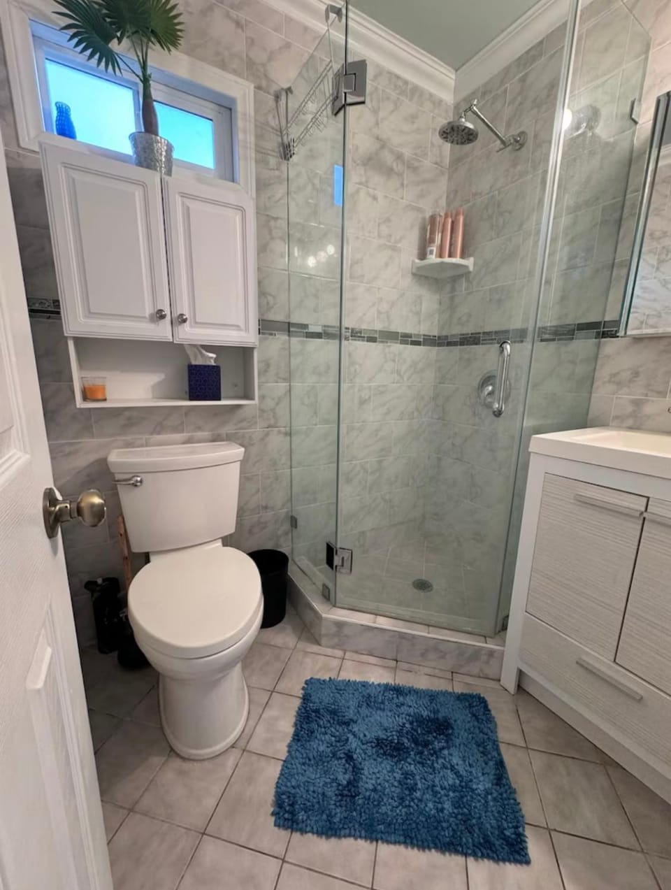 Shower, Toilet, Bathroom