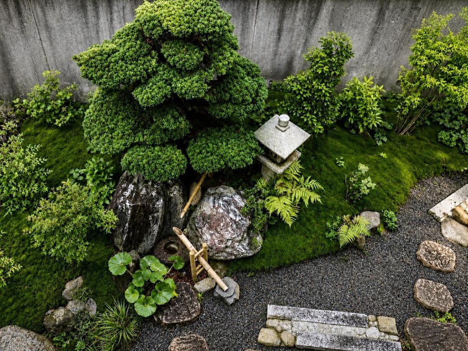 Spring, Day, Garden, Garden view