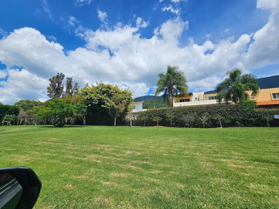 Natural landscape, Garden view