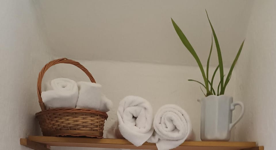 LOFt Apartment in Tepoztlan