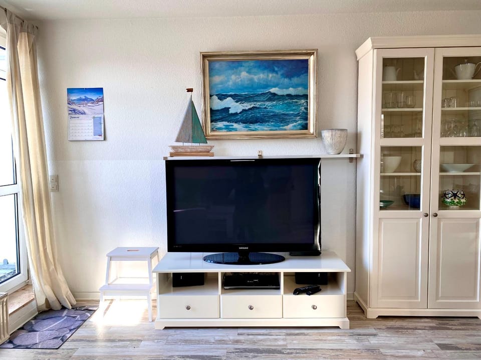 TV and multimedia