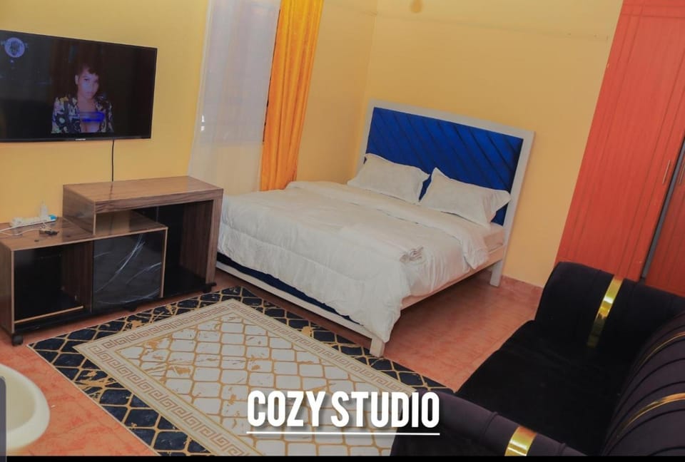 Wanja cozy studio bnb Apartment in Nairobi County
