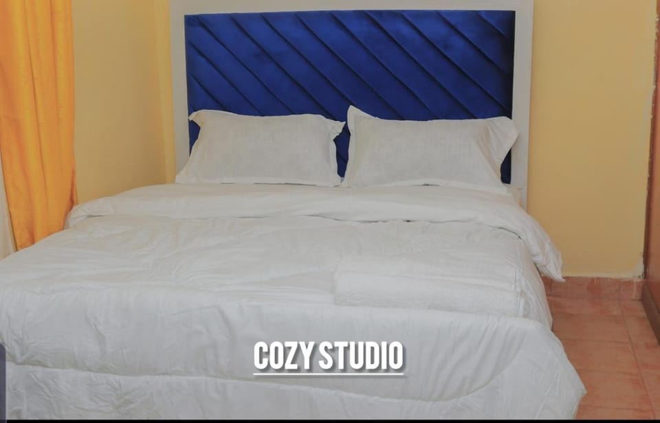 Wanja cozy studio bnb Bed and Breakfast in Nairobi County