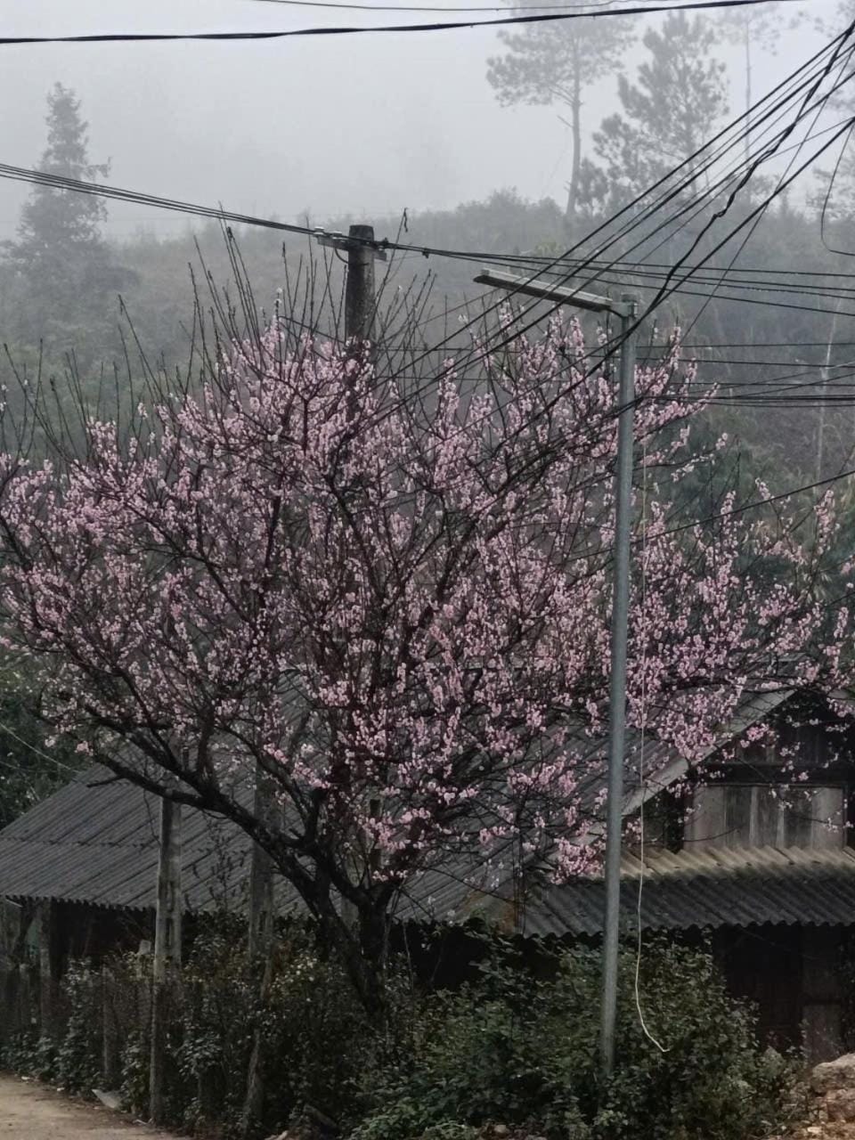 Natural landscape