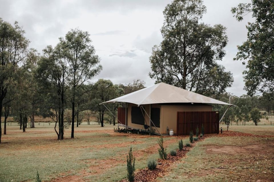 Vineyard Cabin - Hunter Valley - Lucia Cabin in New South Wales
