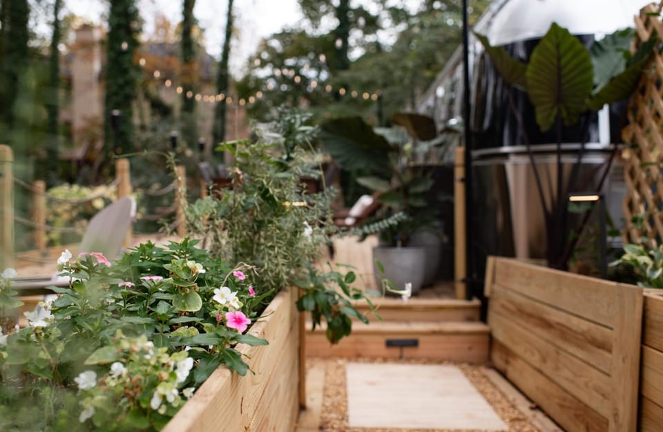 Garden view