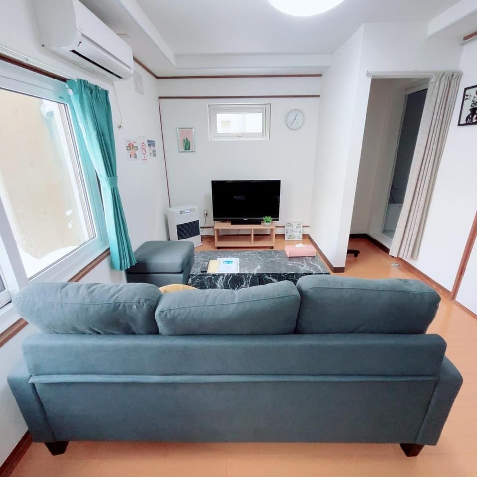Living room, air conditioner