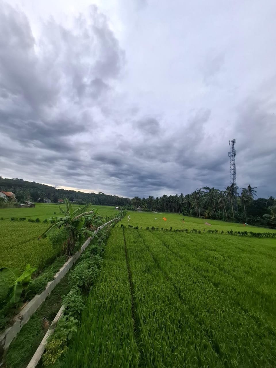 Mini Ricefilds rooms Hotel in West Java
