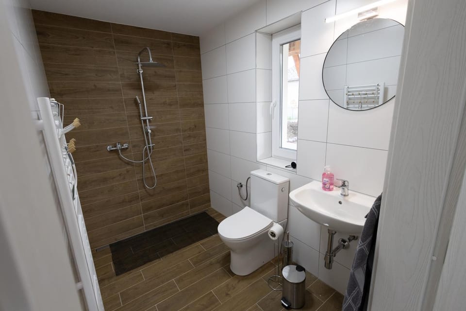 Shower, Toilet, Facility for disabled guests