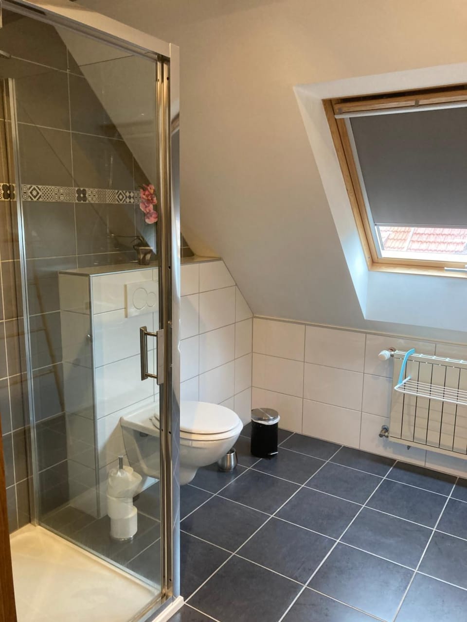 Shower, Toilet