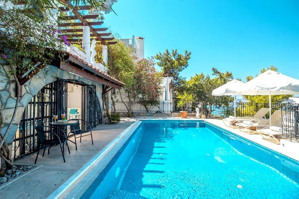 Patio, Day, Swimming pool, sunbed
